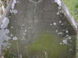 image of grave number 807739